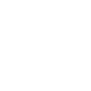 My WordPress logo